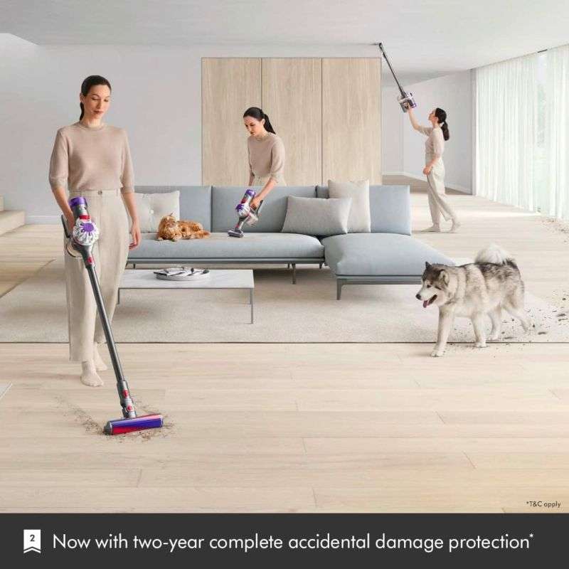 Dyson SV25 V8 Absolute Vaccum Cleaner in SSv/Sv/Nk