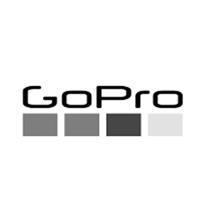 Gopro